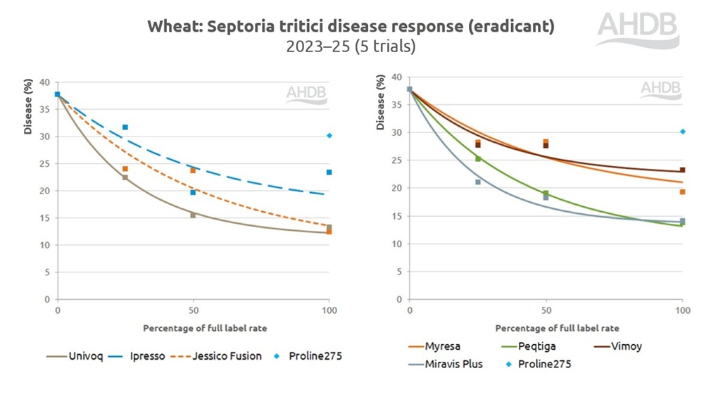 Wheat septoria tritici disease response to fungicides chart (eradicant) 2023–25.